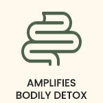 Amplifies Bodily Detox