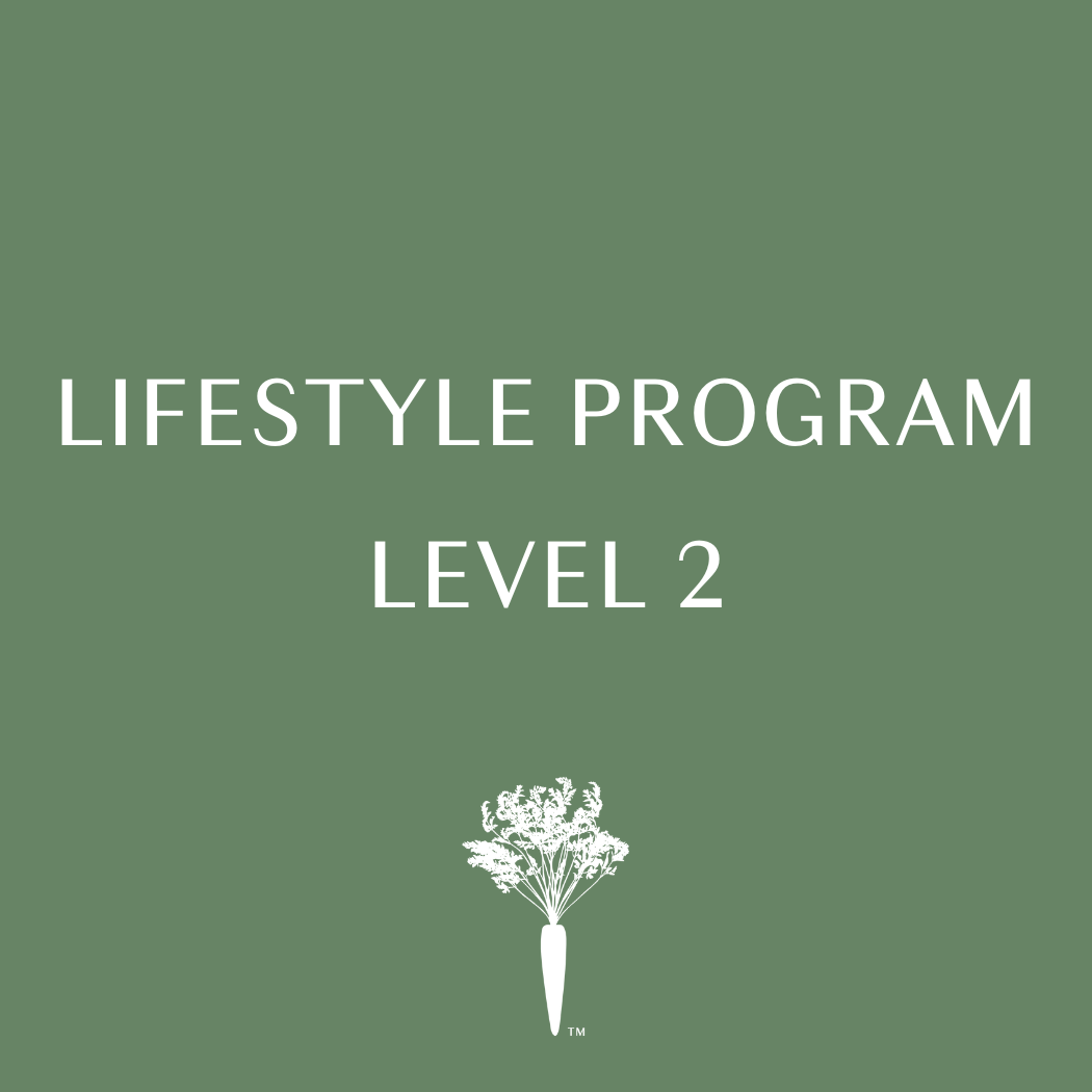 Lifestyle Program - Level 2