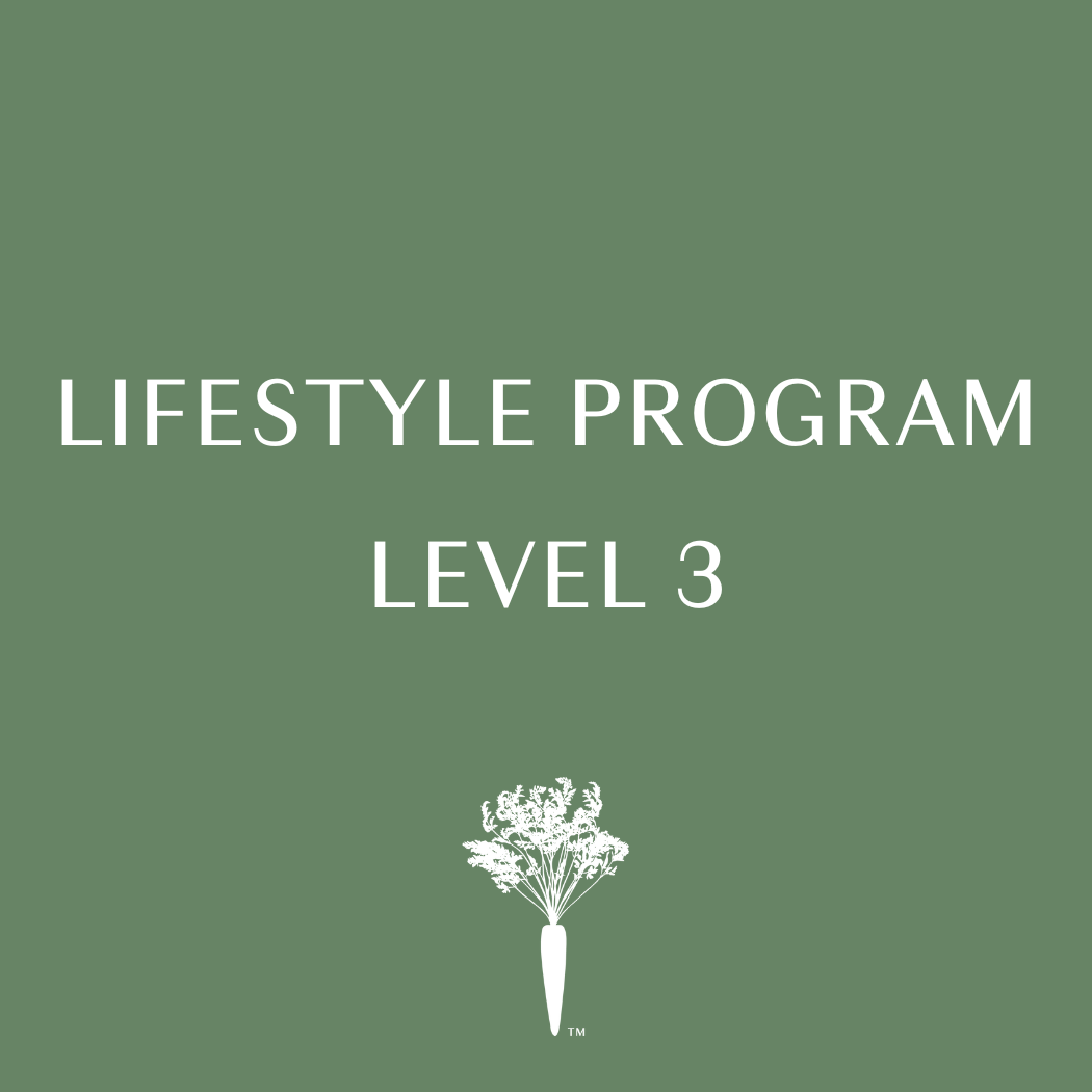 Lifestyle Program - Level 3 - Payment Plan