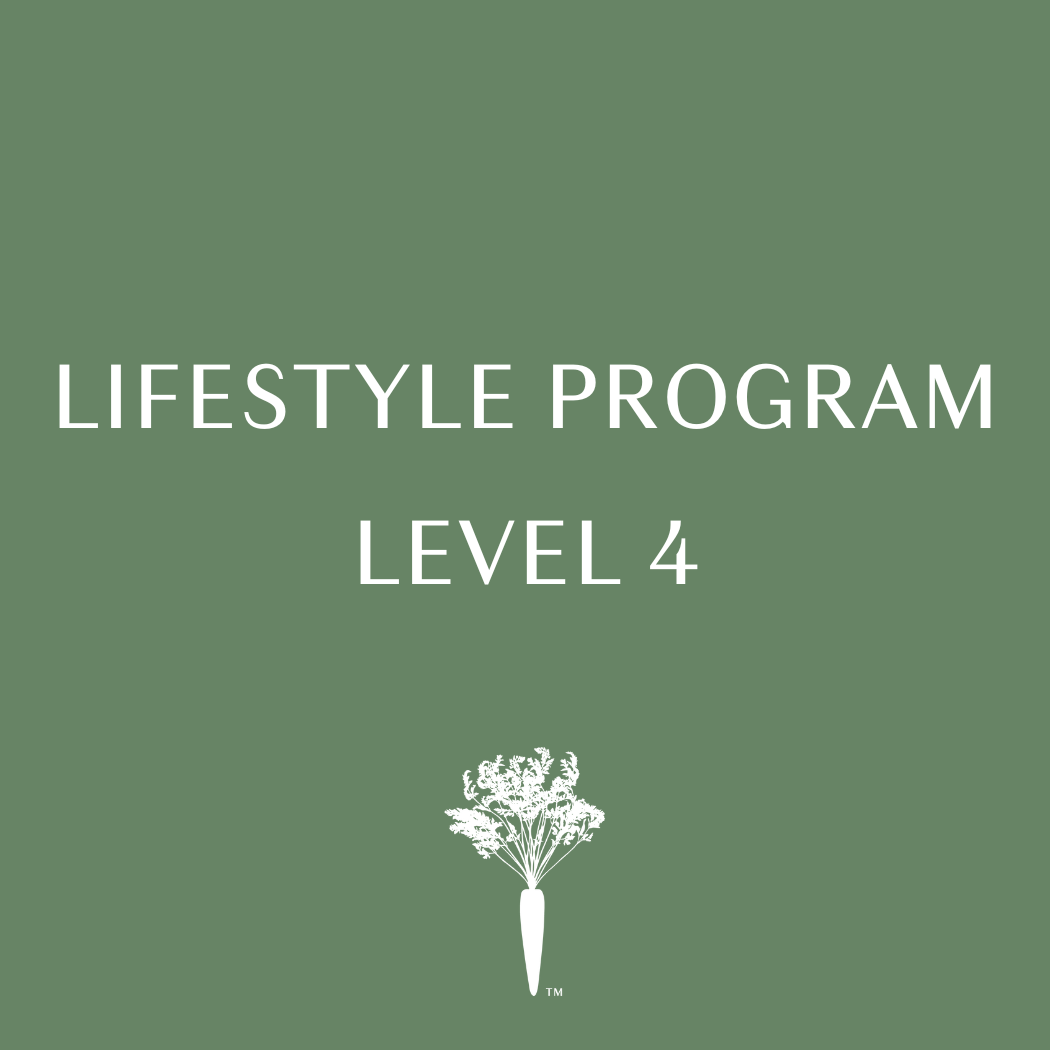 Lifestyle Program - Level 4 - Payment Plan