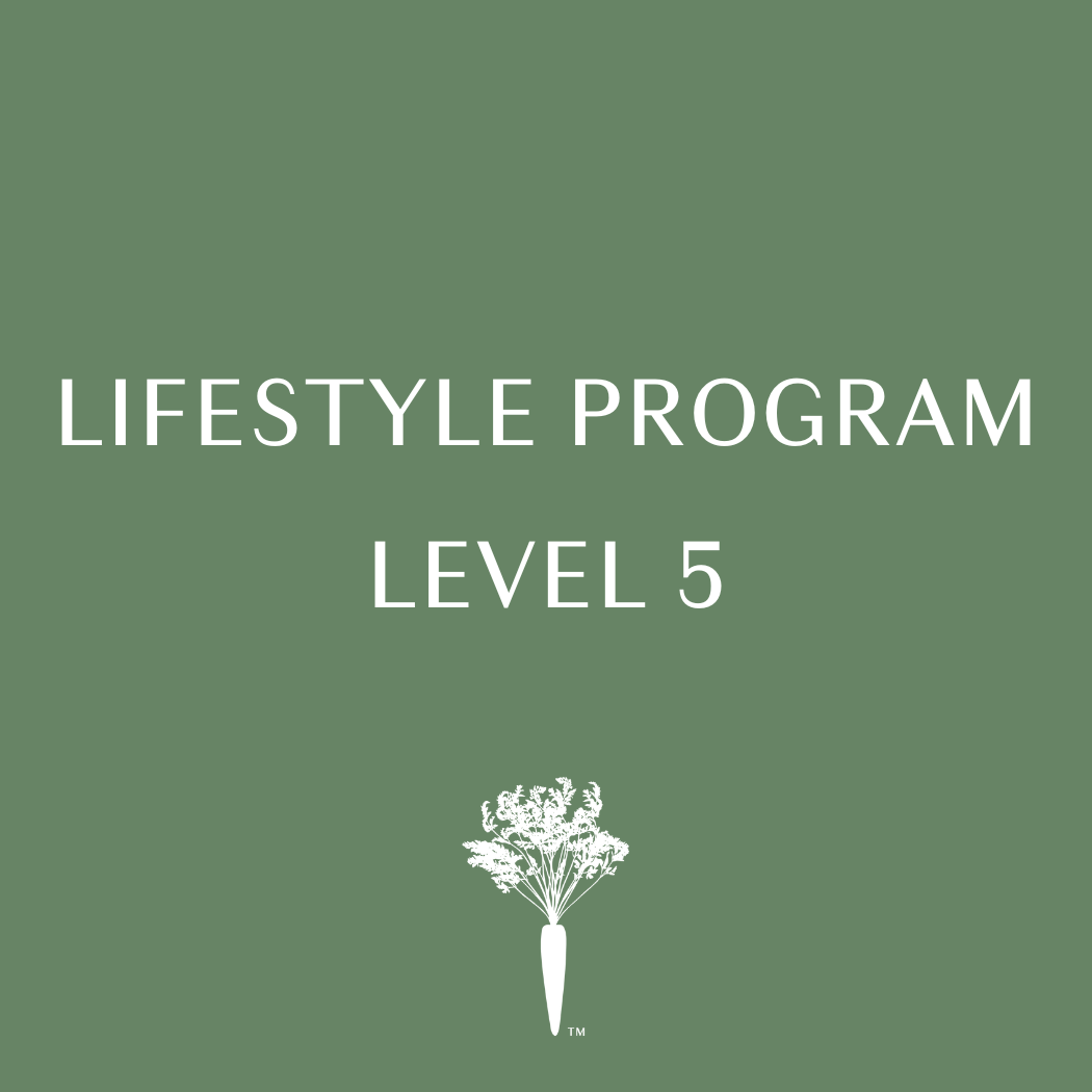 Lifestyle Program - Level 5 - Payment Plan