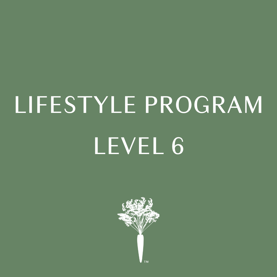 Lifestyle Program - Level 6 - Payment Plan