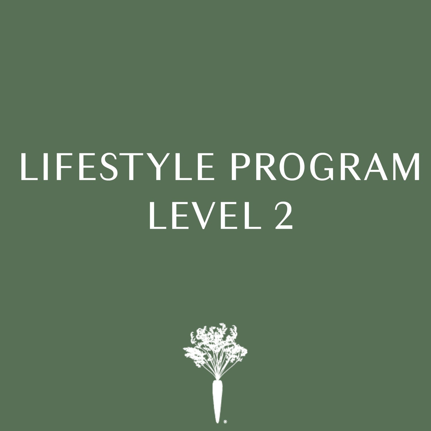 Lifestyle Program - Level 2