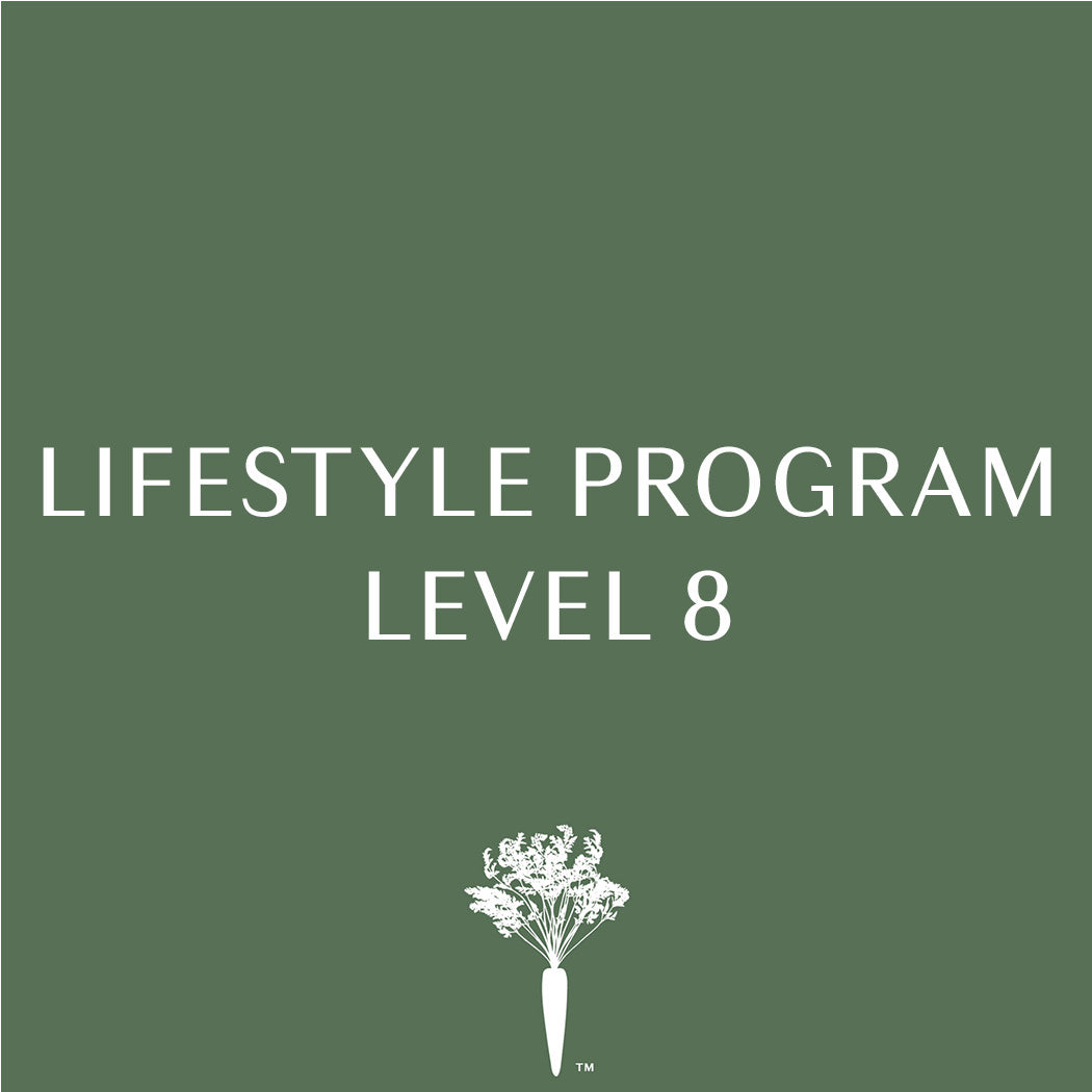 Lifestyle Program - Level 8 - Payment Plan
