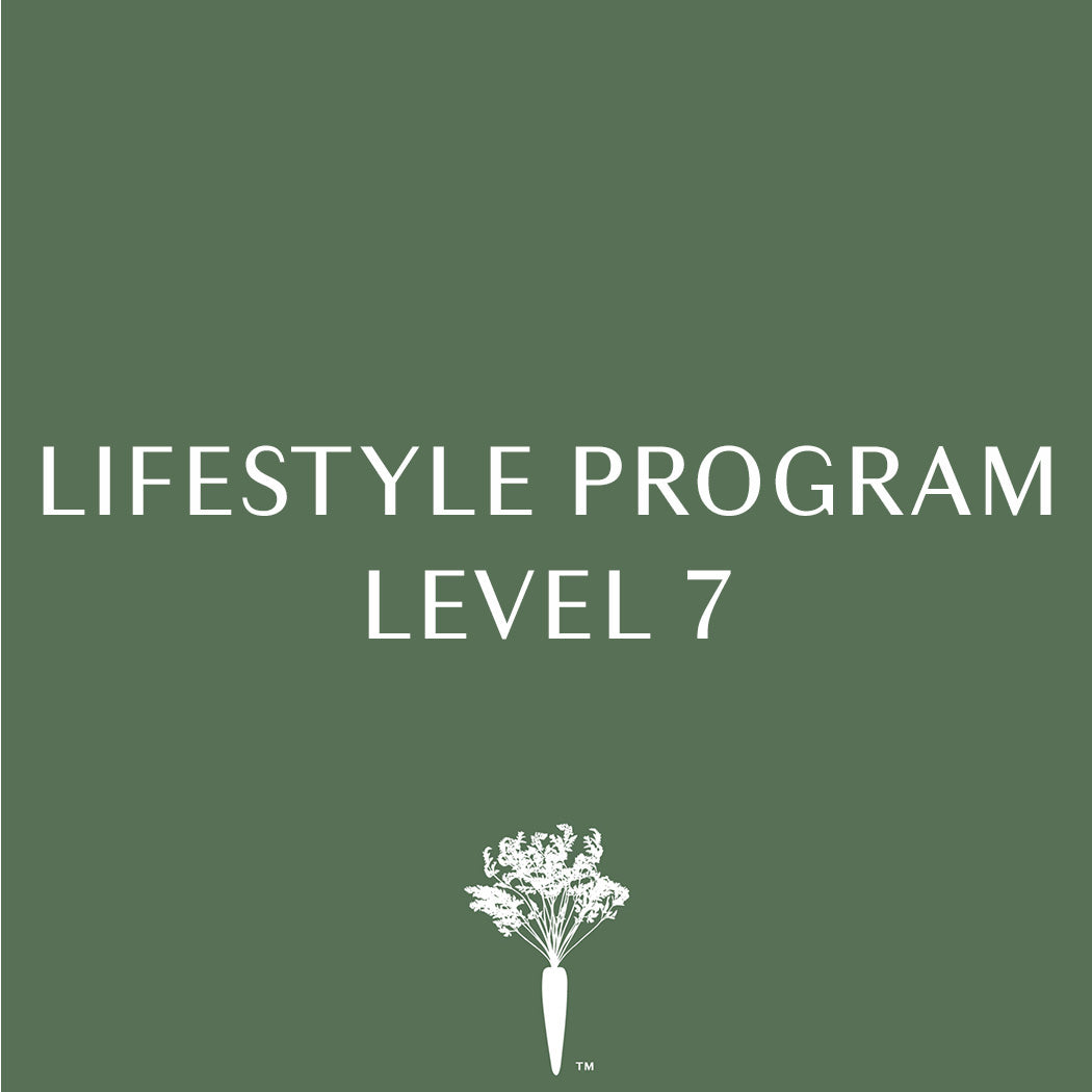 Lifestyle Program - Level 7 - Payment Plan